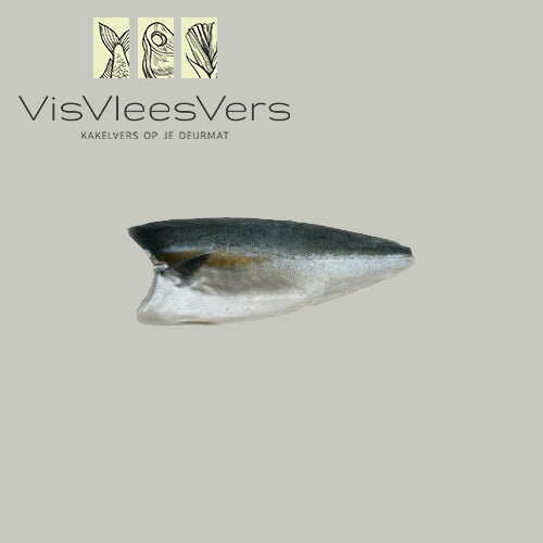 Dutch Yellowtail kingfishfilet vers