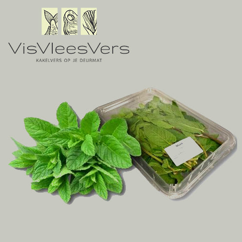 Verse munt 100 gram