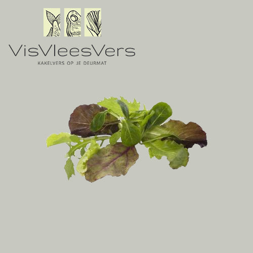 Mesclun gewassen 4x250 gram