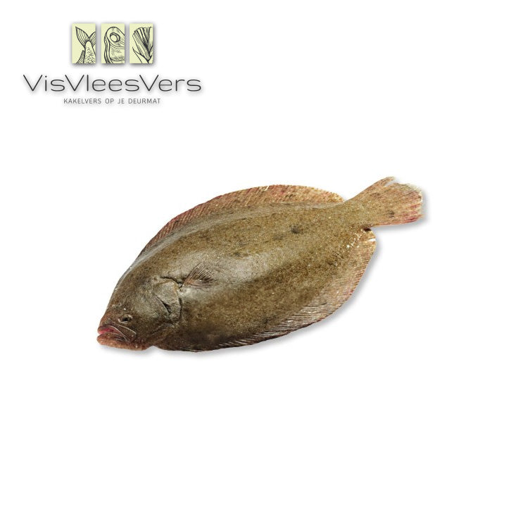 Griet heel 1-2 kg