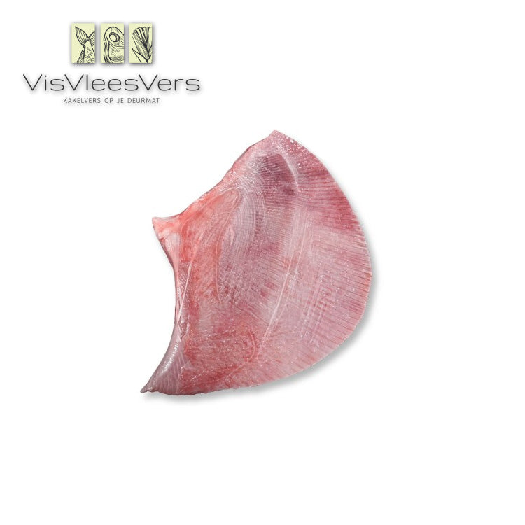 Rogvleugel 500-800 gr