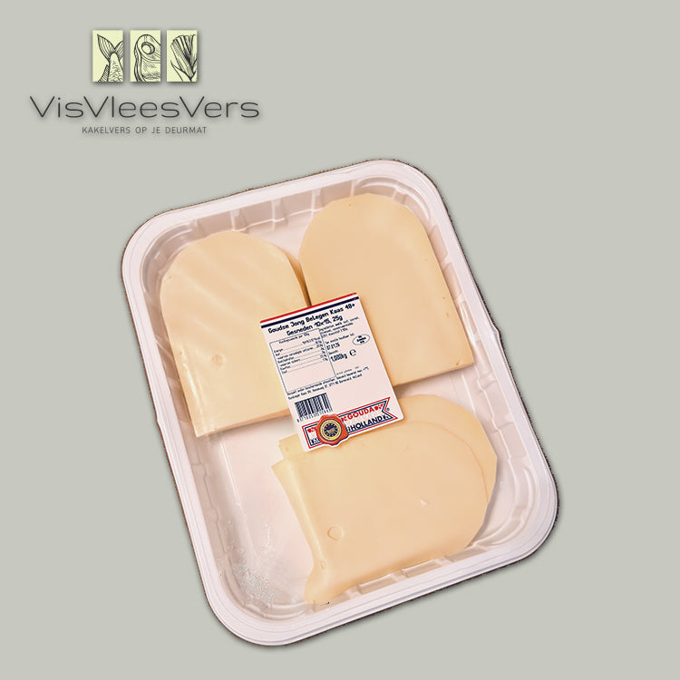 Kaas jong belegen plakken 40x 25gr (ronde top)