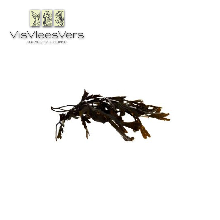 Zee-eik vers 500 gr