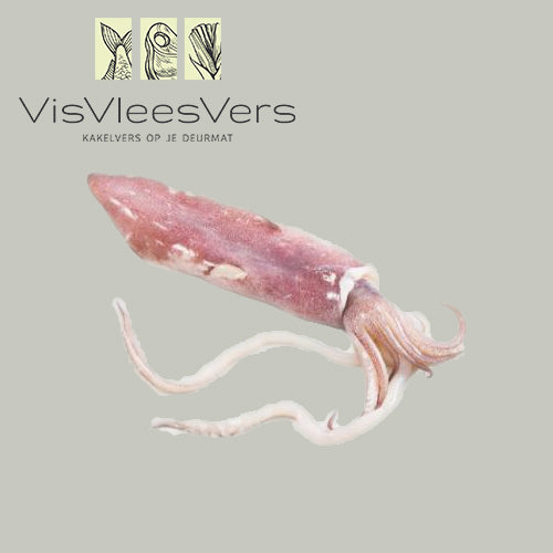 Inktvisfles groot 800 gr + vers