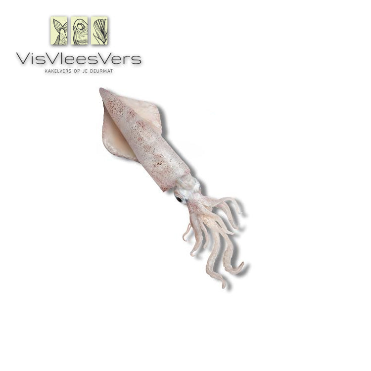 Inktvisflessen klein vers
