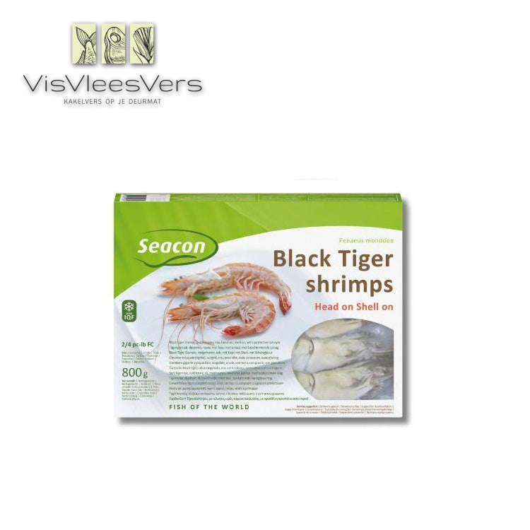 Gamba black tiger 2/4 met kop