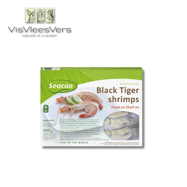 Gamba black tiger 4/6 met kop