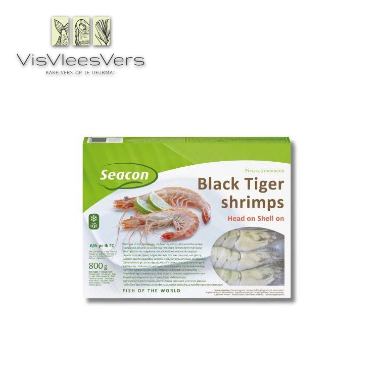 Gamba black tiger 6/8 met kop