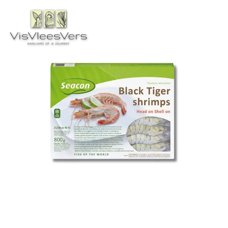 Gamba black tiger 21/30 met kop