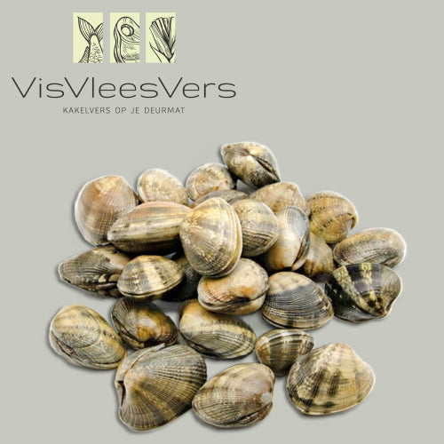 Vongole veraci