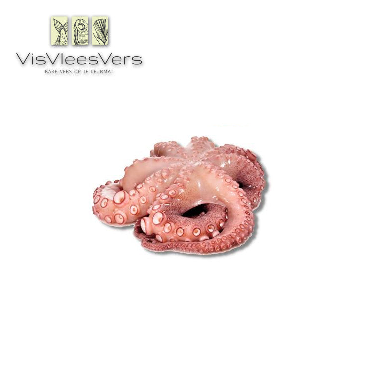 Octopus poulpo 1-2 kg diepvries