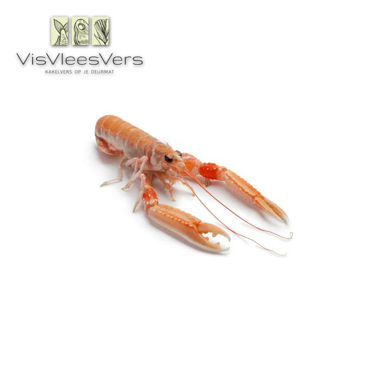 Langoustines diepvries 8/12